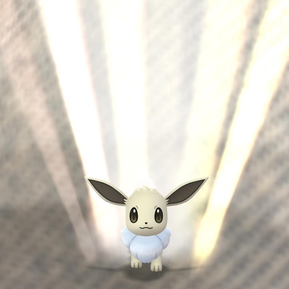 Meet your Posher, Lana - Picture 1 of 1